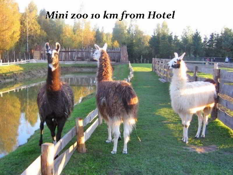 Hotel Pajurio Vieskelis Klaipėda Eksteriør bilde